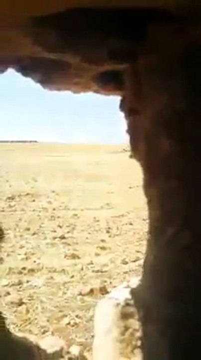 شاهد حرق عناصر ميليشيا "قسد" لمحاصيل زراعية بريف الرقة! (فيديو مسرب)