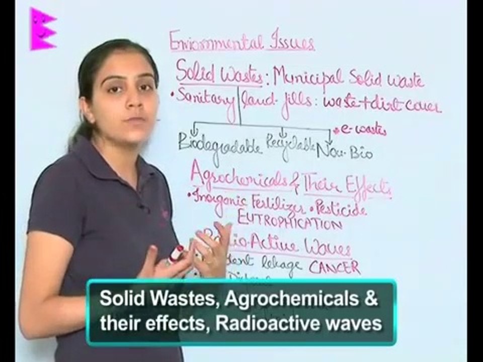 What is solid waste
