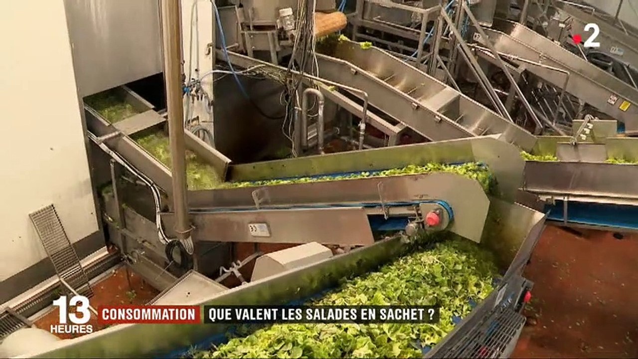 Santé : Les salades en sachet, c'est oui ou c'est non ? Découvrez la vérité... Vidéo