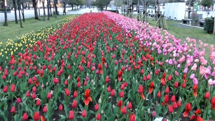 【う祭】あさぎーにょとデート中にあやのののをナンパしたら…！？