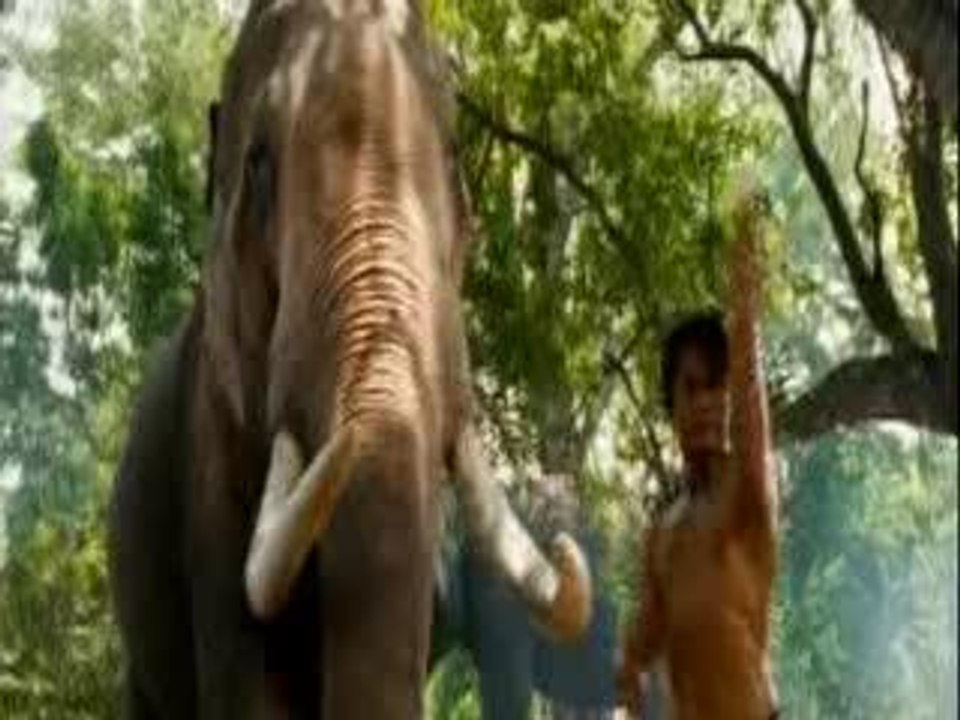 Montage Tom-yum-goong