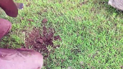 Build Swimming Pool Underground (Part 2)