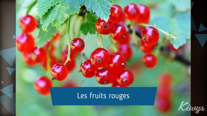 Aliments bénéfiques pour la pousse des cheveux