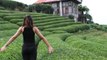 Sosyal medyada ünlenen çay bahçesi turistlerin akınına uğruyor