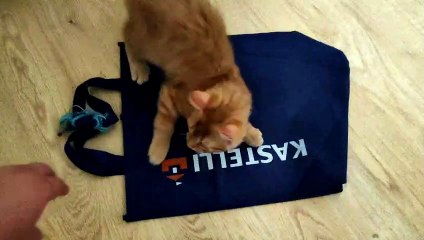 Hooman I found dis bag