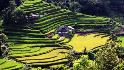 Việt Nam mình đẹp lắm-đường lên Xín Mần- Hà Giang