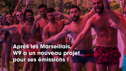 W9 sur le point de lancer une émission avec uniquement des ex de la télé ? Les détails dévoilés