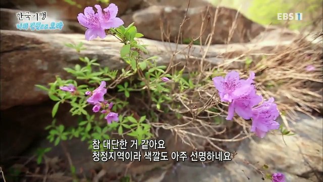 한국기행 - Korea travel_나의 정원으로 오라 2부- 스님의 뜰_#002