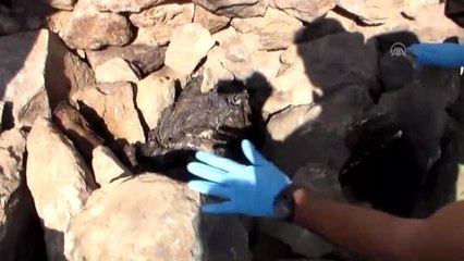 Sanal ortaklık cinayetle bitti - KAYSERİ