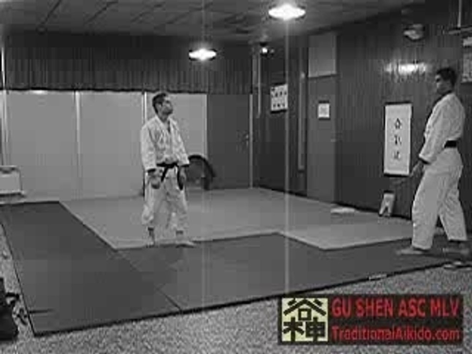 Gushen_D002X
