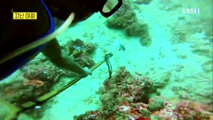 세계테마기행 - 볼케이노 어드벤쳐, 아시아 화산섬 기행 4부- 화산섬, 보물섬이 되다, 탈(Taal)_#001