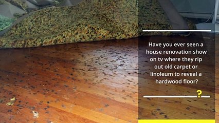 Hardwood Floor Cleaner
