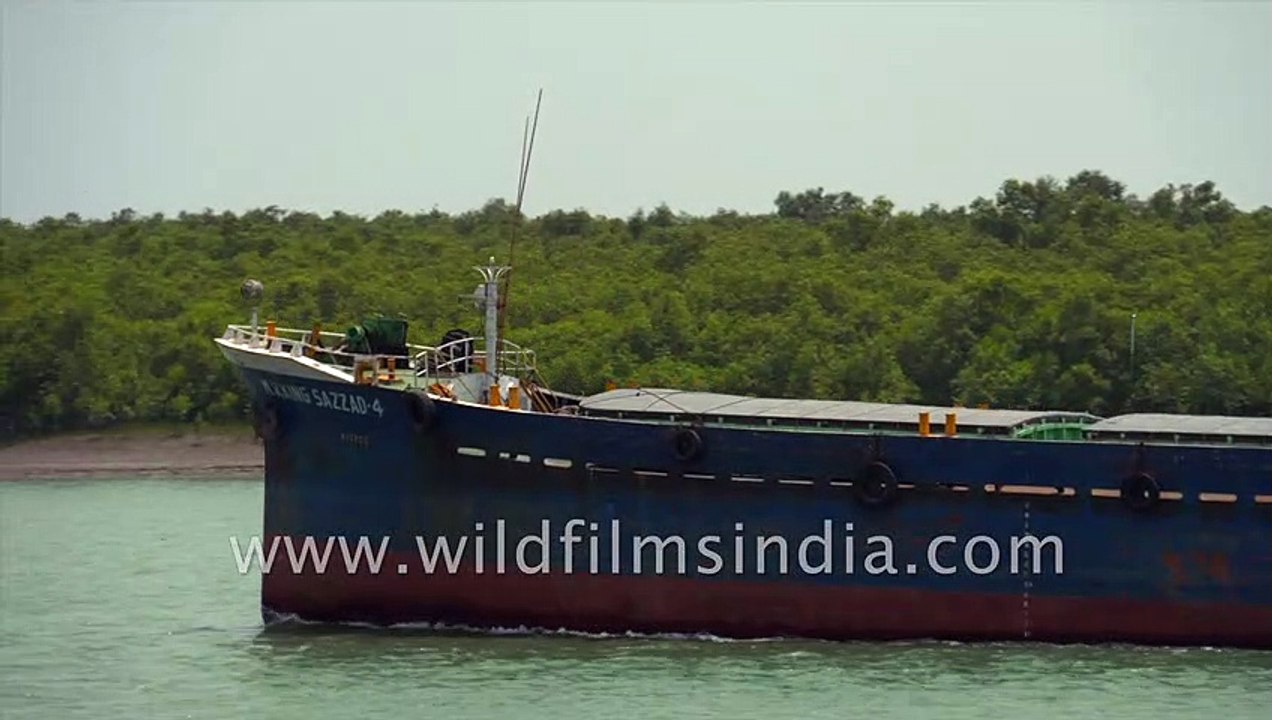 Cargo boat sails on Gomdi river in Sundarbans, West Bengal