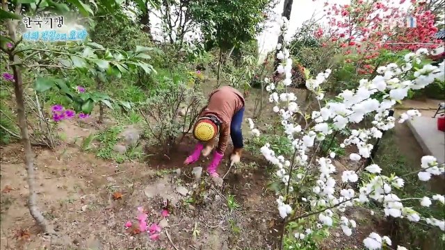 한국기행 - Korea travel_나의 정원으로 오라 5부- 내 인생의 모든 것_#001