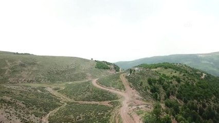 Ele geçirilen 50 kilogram patlayıcı imha edildi