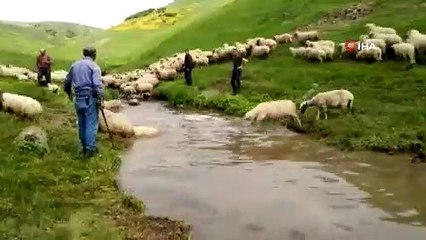 ASIRLIK KOYUN YIKAMA GELENEĞİ