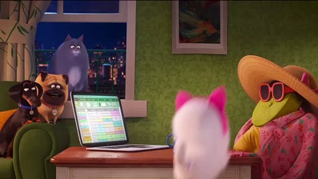 A Vida Secreta dos Nossos Bichos 2 Filme - Cão-Gato