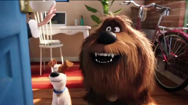 A Vida Secreta dos Nossos Bichos 2 Filme - Panda Rap