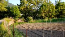 Σε εξέλιξη οι αιτήσεις για τον Δημοτικό Λαχανόκηπο στο Καρπενήσι