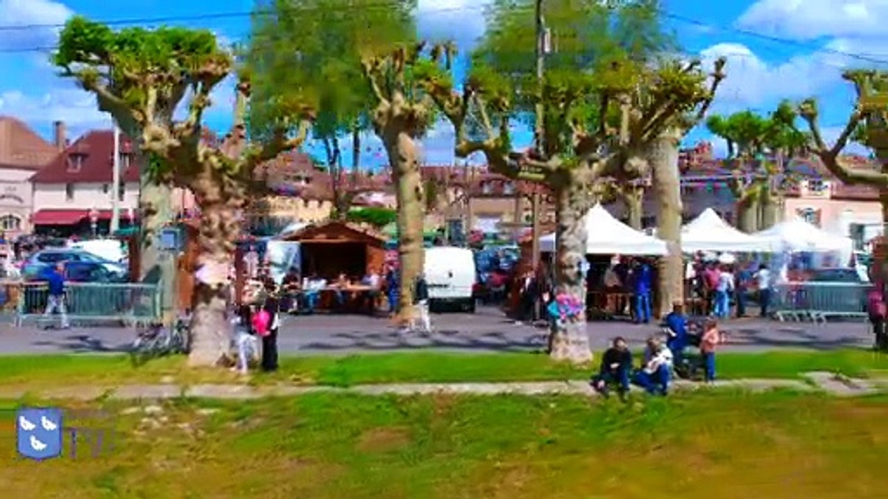 Fête de la Loire 2019