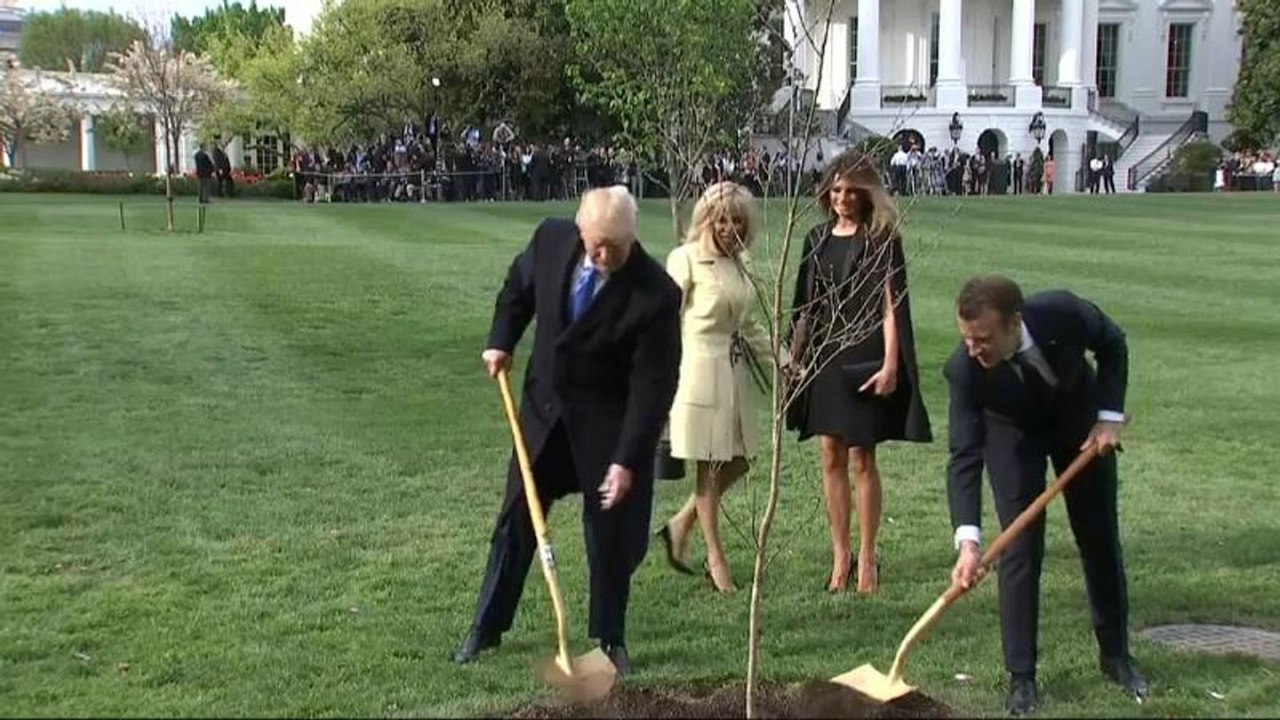 'Kein Drama': Macron verspricht Trump neuen Freundschaftsbaum