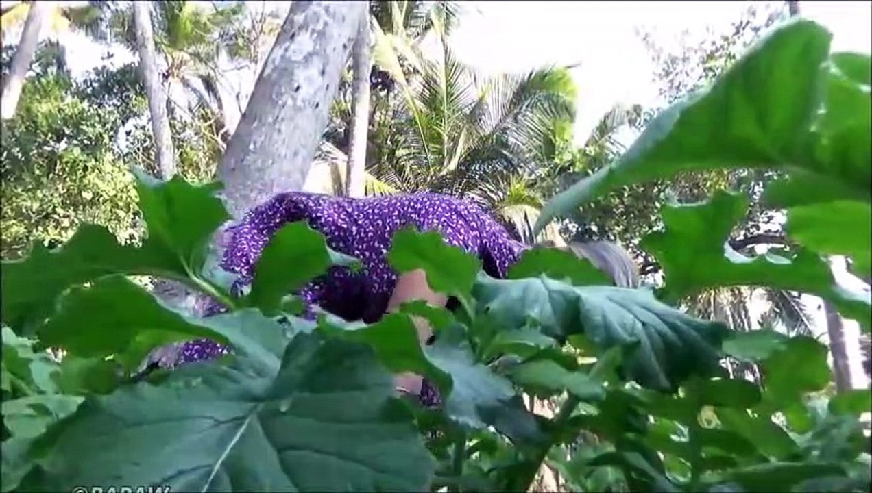 Santé Alimentaire du Village  Radis Recette de grand-mère | la Vie du Village