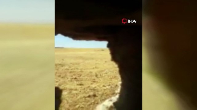 - PKK/PYD Terör Örgütünün Halkın Ekinlerini Yakma Anı Görüntülendi- Teröristlerin Hain Oyunu Kamerada
