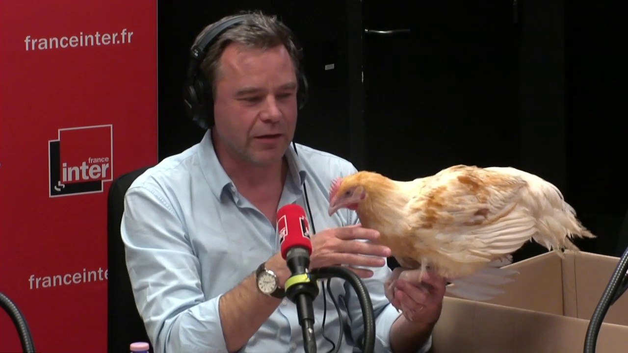 Popopop : Guillaume de Tonquédec et Roxane