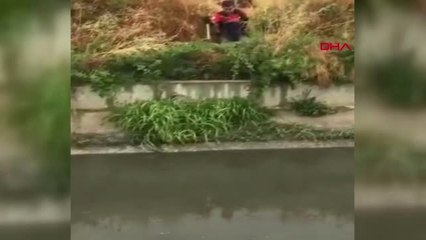 DENİZLİ Mahsur kalan yavru köpekleri itfaiye kurtardı