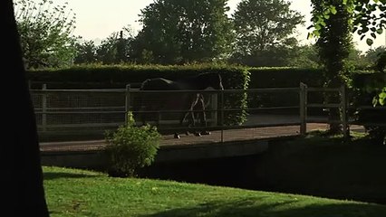 L'homme du logis St Germain