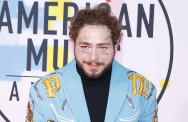 Post Malone's plane fault caused by safety breaches