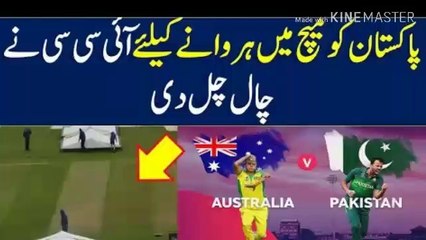 Pakistan vs Aus Today World Cup Match News - Pakistan News