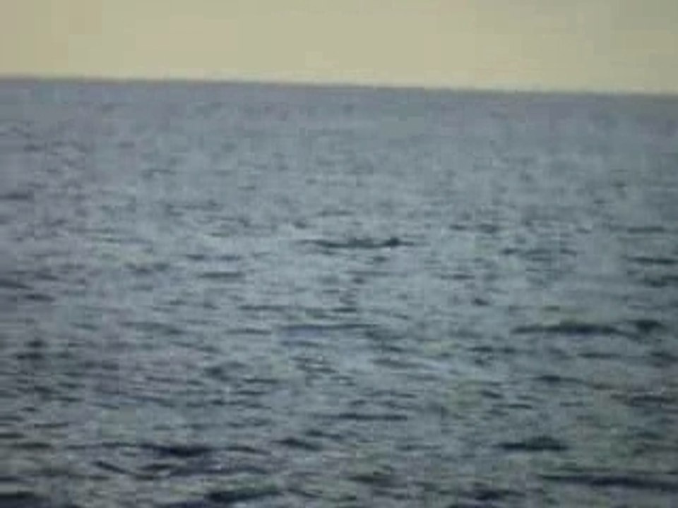 M2U00040