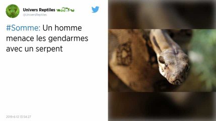 Somme. Un homme ivre menace les gendarmes armé d’un serpent