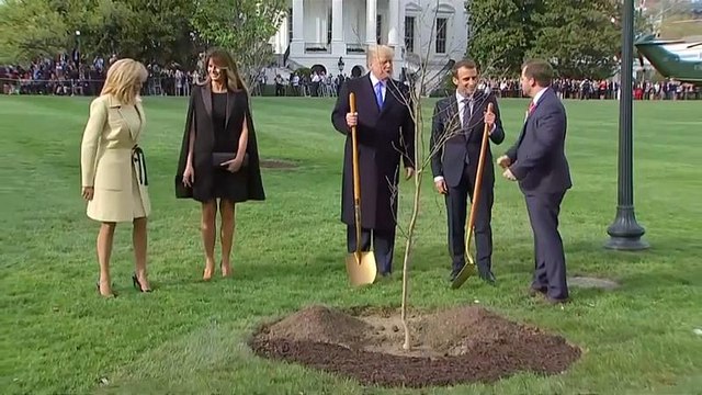 Франция-США: дубовая дипломатия