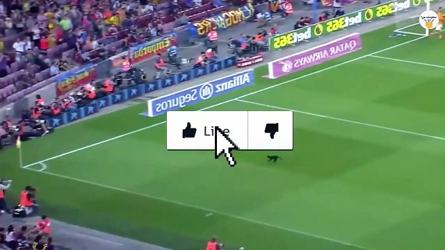 8 مواقف مضحكة لحيوانات دخلت ملاعب كرة القدم