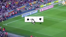 8 مواقف مضحكة لحيوانات دخلت ملاعب كرة القدم