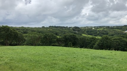 L’Agglo prend la voie agro-pastorale pour sauver sa lande