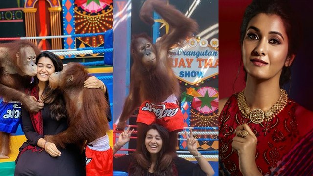 ரசிகர்களை கவர்ந்த ப்ரியா பவானி சங்கரின் லேட்டஸ்ட் புகைப்படம்.