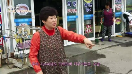한국기행 - 시선기행, 나는 견(犬)이다2 4부- 밤바와 요다, 여행을 떠나 '개'_#001