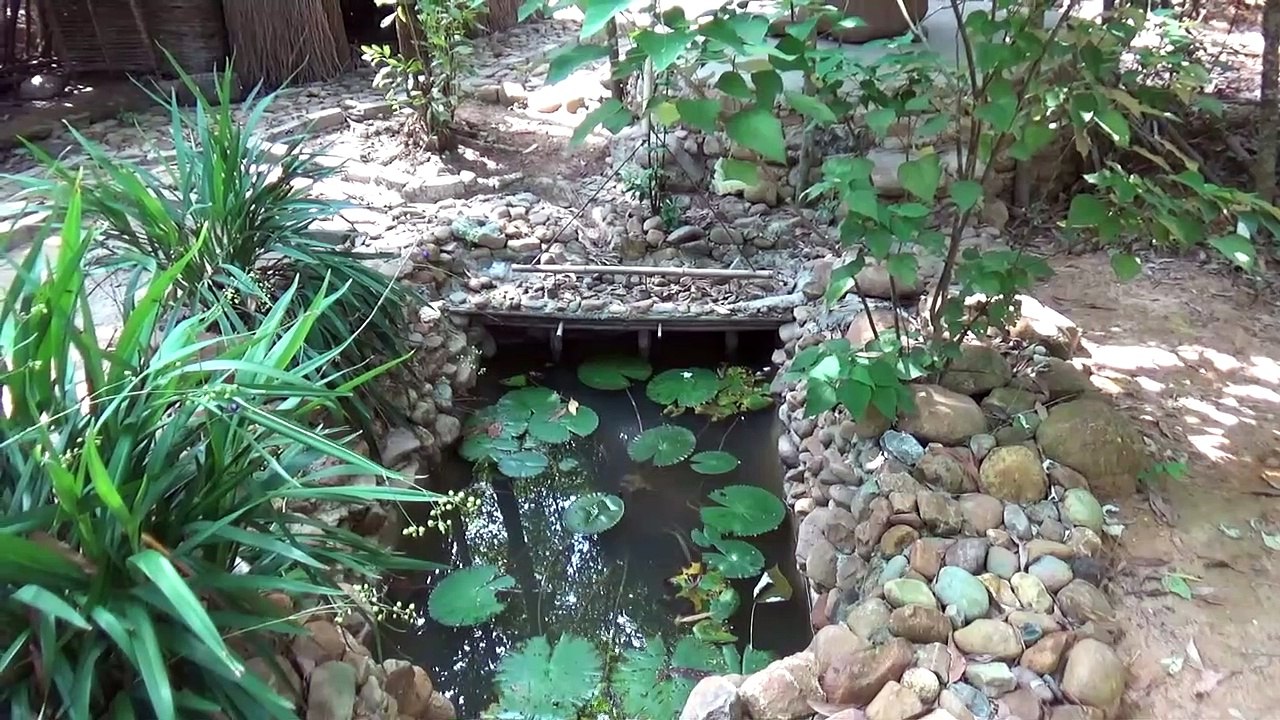 Primitive Life:Relaxing-Pool with Fishs!