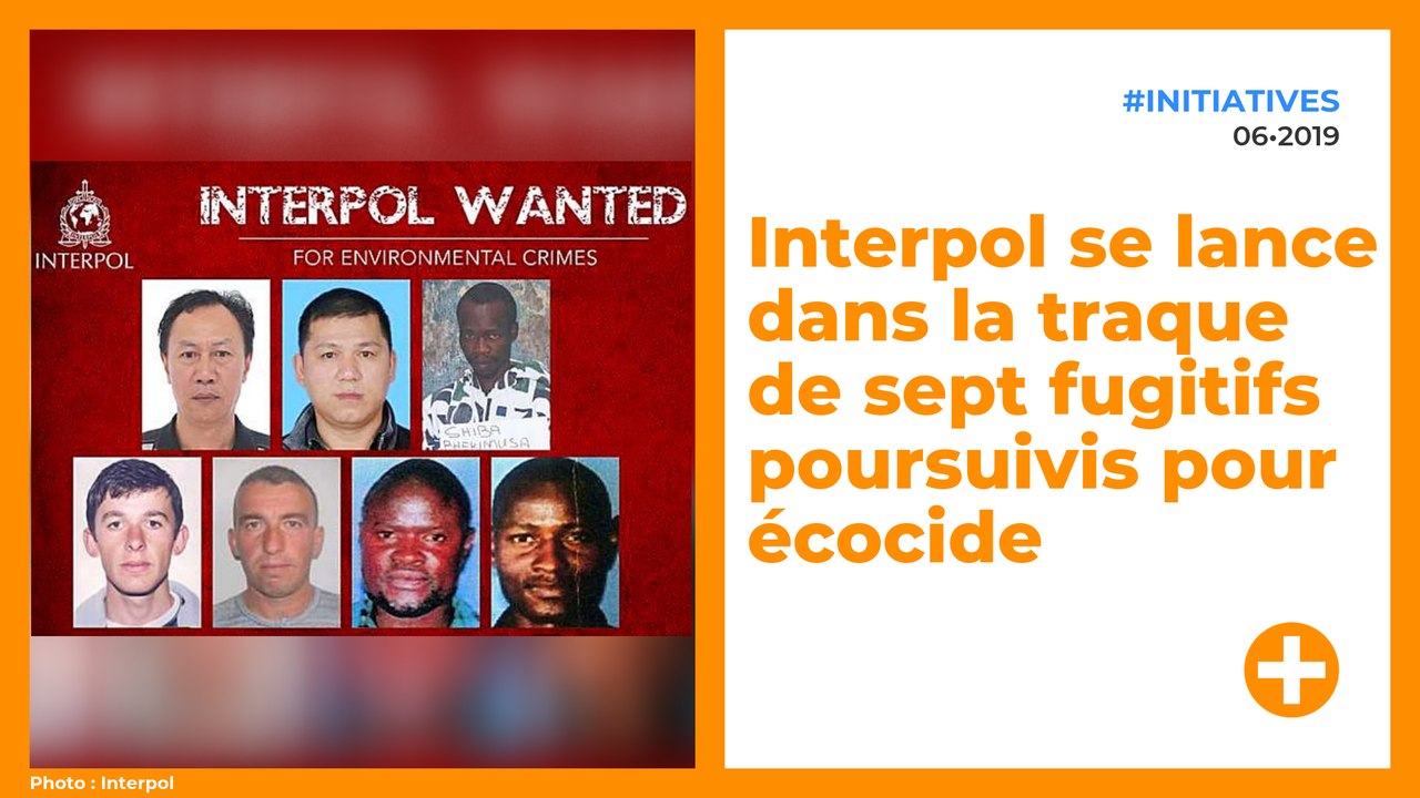 Interpol se lance dans la traque de sept fugitifs poursuivis pour écocide
