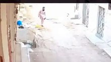 Karma instantâneo para um "animal" que atirou um chinelo a um cão