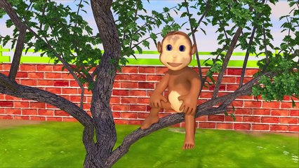 Baby Besucht den Zoo - Karikatur Kinderlieder Bildung Für Kinder