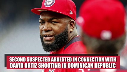Second suspect arrested in David Ortiz shooting