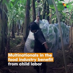 Multinationals Benefit From Child Labor