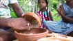 Maïs Chiens – 50 Maïs Chiens (Saucisse de Poulet Rouleaux) préparé dans mon Village par une Petite Fille de Papa