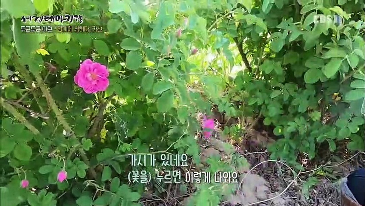 세계테마기행 - 두근두근 이란 4부- 땅굴마을 메이만드 가는 길_#002