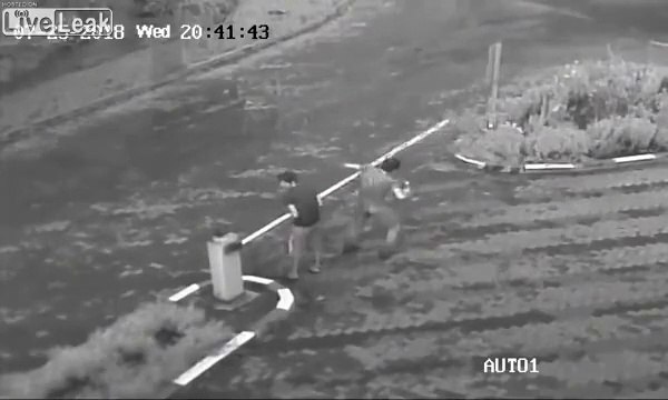 Ces débiles ivres viennent détruire une barrière à main nue !