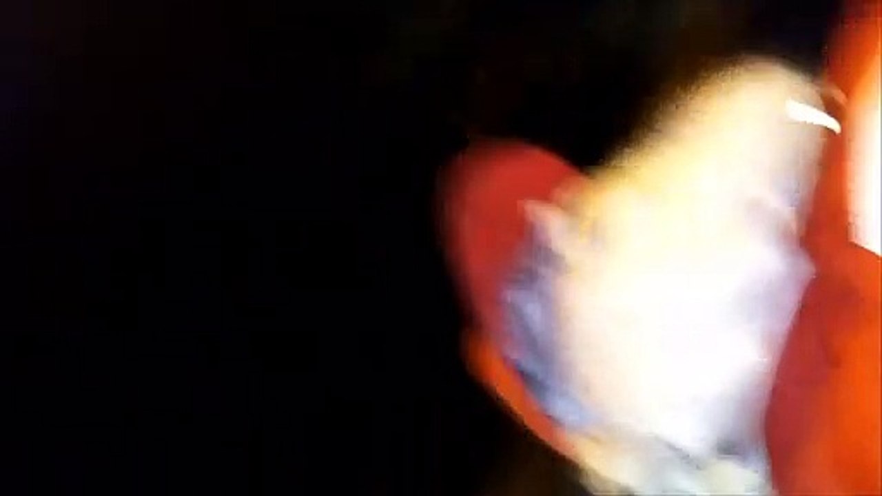 Bahn-bahnhof-eisenbahn-kaputt-dreck-longerich-bahnhof-juni-3-anno-2019